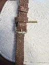 IMG_5901_agua.webp